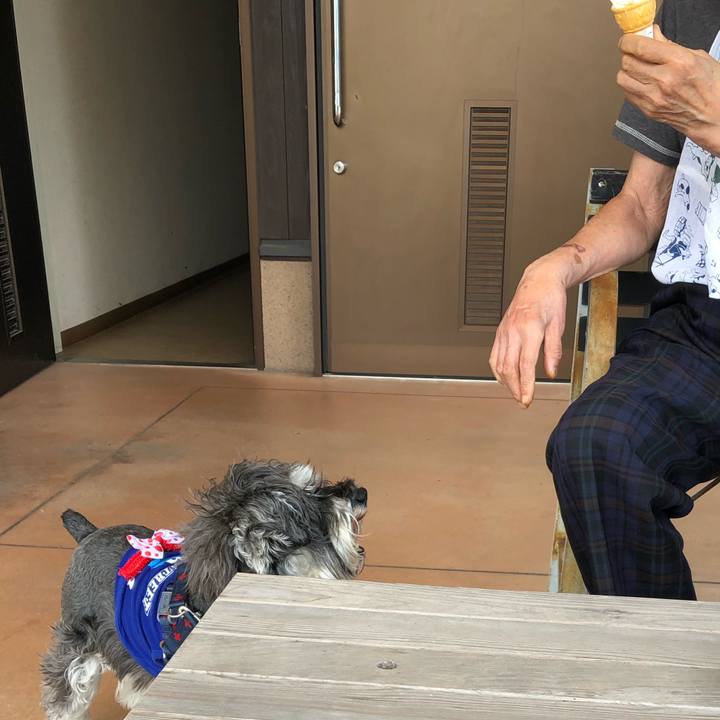 F13a64e9 96a1 4ea1 9dc2 8e0e33aa9e7e 1622357627573