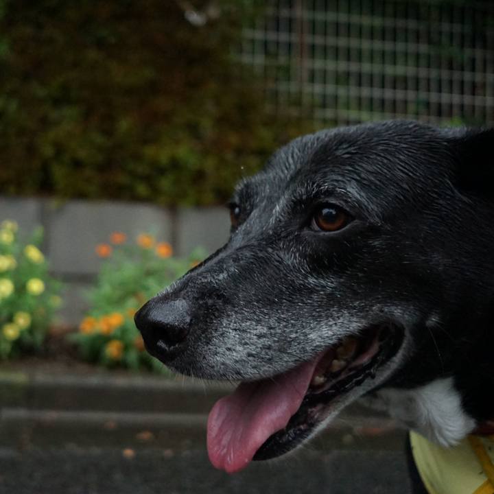 F13a83ba 639e 4d8f bc2f 07498fe6ec15 1757031327695