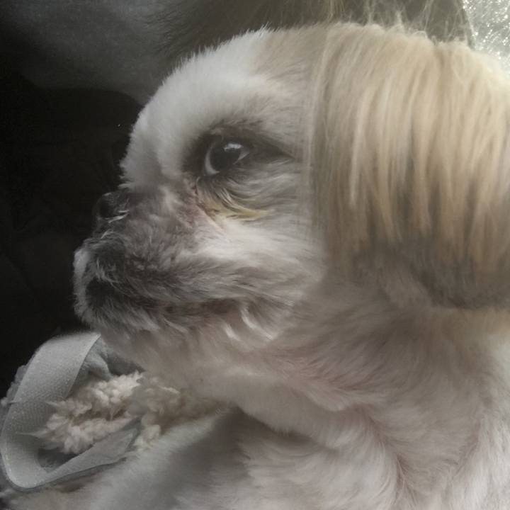 F13a954a 6991 4338 a183 5e48aad3ff00 1585455825468