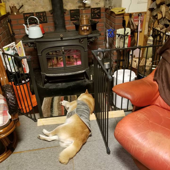 F13a9db2 3471 4d38 a556 a596f63b1742 1644315355598