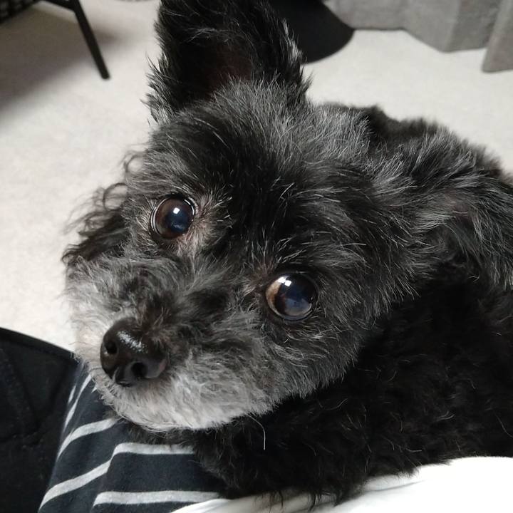 F13ab104 a3d2 4d6f 963a 860e6e0a8bb6 1651923815811