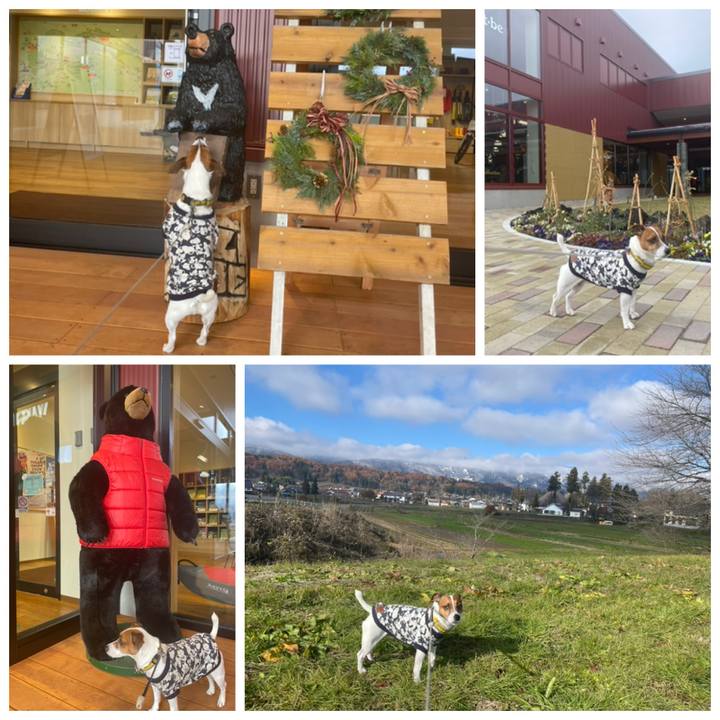 F13ad019 ea32 4937 af6e 978217943a26 1701762605118