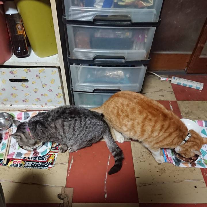 F13b1578 ae23 480f bc9e 9c9e9e3b2566 1588881864657