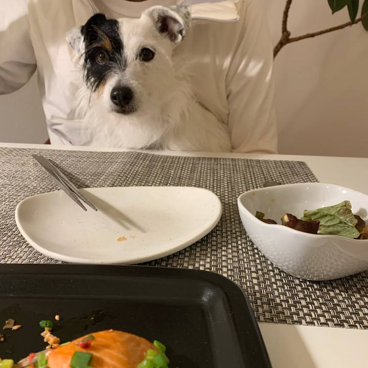 F13b41e8 2786 4504 b349 b4ba274dfed6 1585050311138