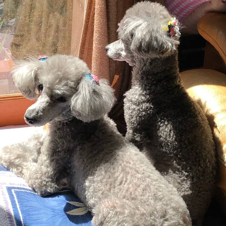 F13b55dc b15b 46f0 833a 0c757382771c 1556001219543