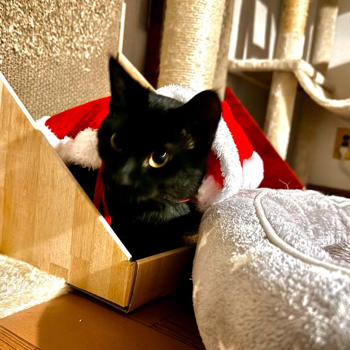 F13b564e 4858 4ca8 88ce 3560e10f422c 1731207408013