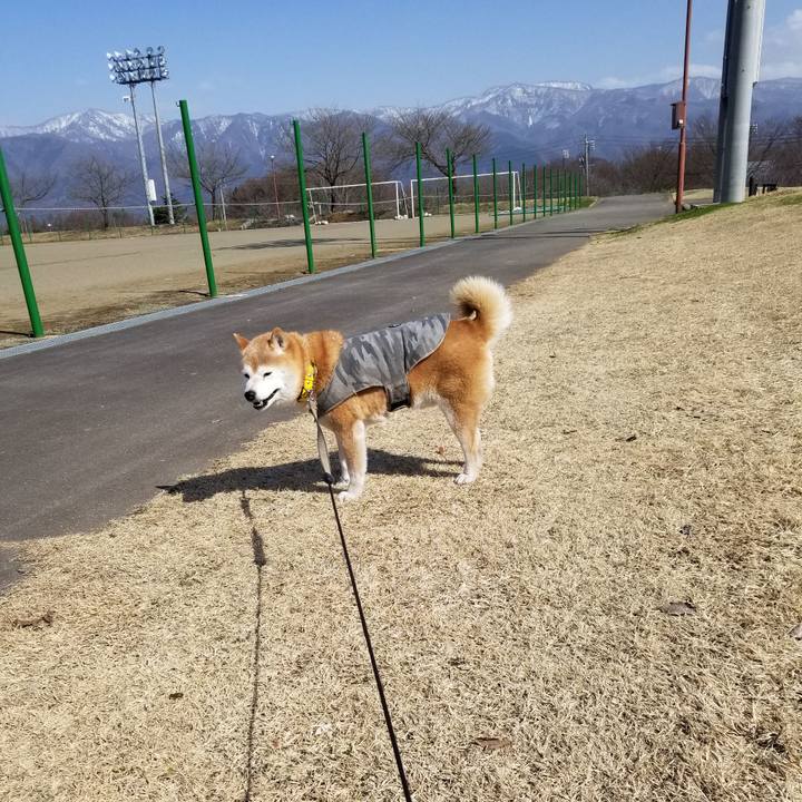 F13b61f0 5417 41ce b10d 9267fe1ed37d 1679980915889