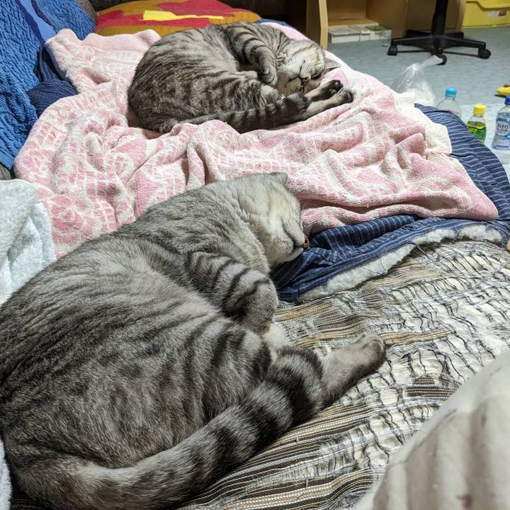 F13b7b94 47a0 4bac 9c27 dea666c5bdc7 1716133507892