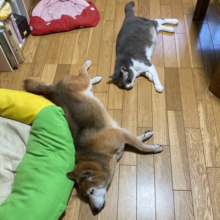 F13b7c25 fb3d 4ef8 b608 ba37f0933eb2 1755756072319