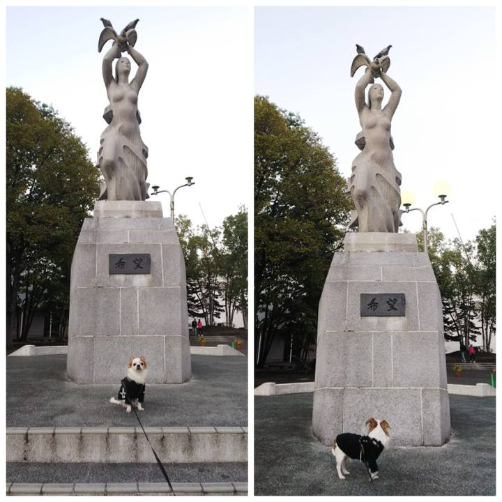 F13bc610 331e 4ef7 ac2a 20d06b8fc4f9 1538642894959