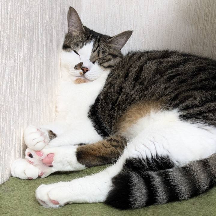 F13bd505 531d 4503 ad10 8df82e6e9f82 1726554590504