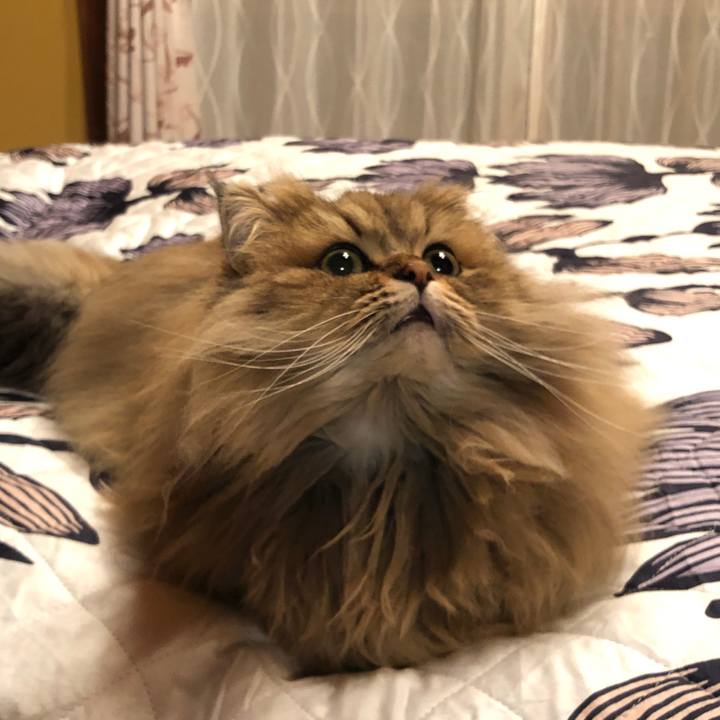 F13bd9c0 0d97 49b1 a2f3 e6bb33263539 1582197865822