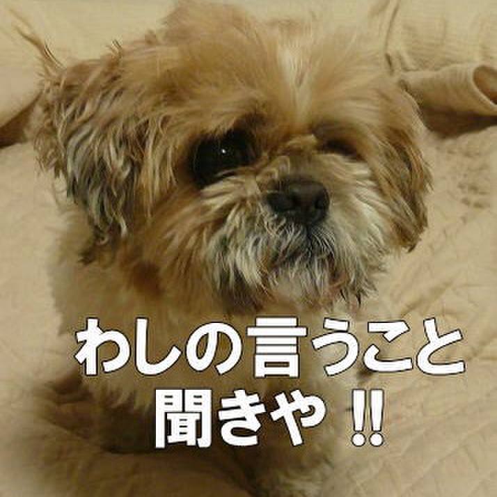 F13c2c9b 1499 4873 918b e1a0815f8d0e 1543999852609