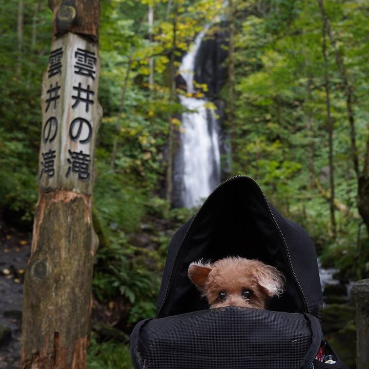 F13c4120 8eac 46f5 8d26 9e0bcd449a4d 1695009061883