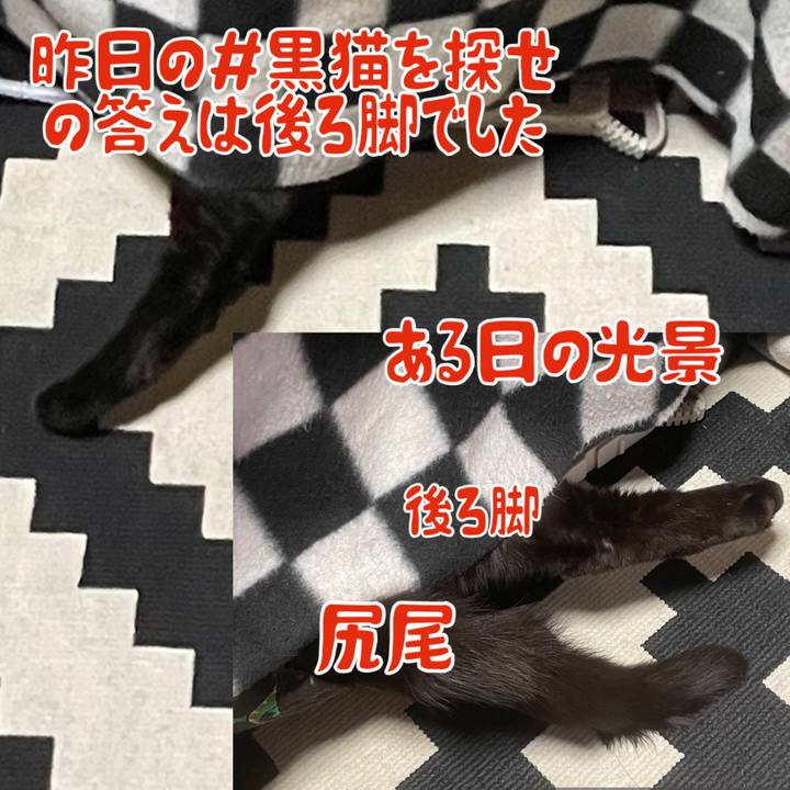 F13c514f b2aa 43cc 97df 536ad06e1f75 1773367982817