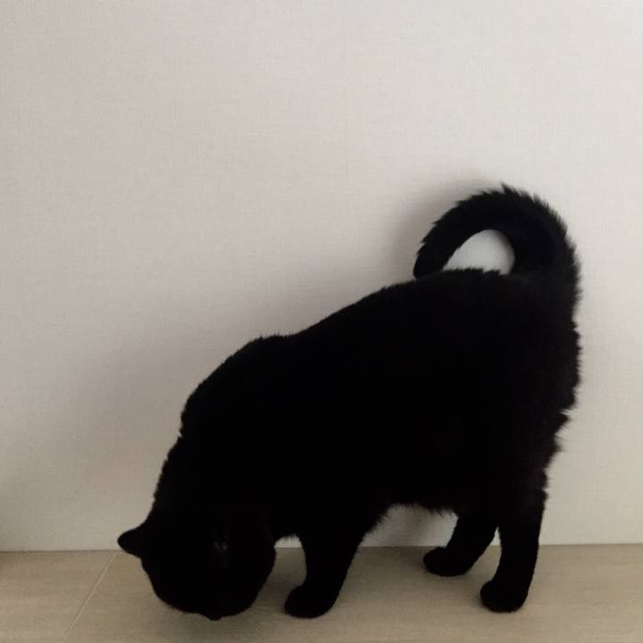 F13c856e 3754 469b bda0 4e8cea108498 1531364290916