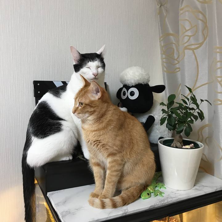 F13c90d7 2962 4671 8a75 fda79f7aea5b 1508195536466