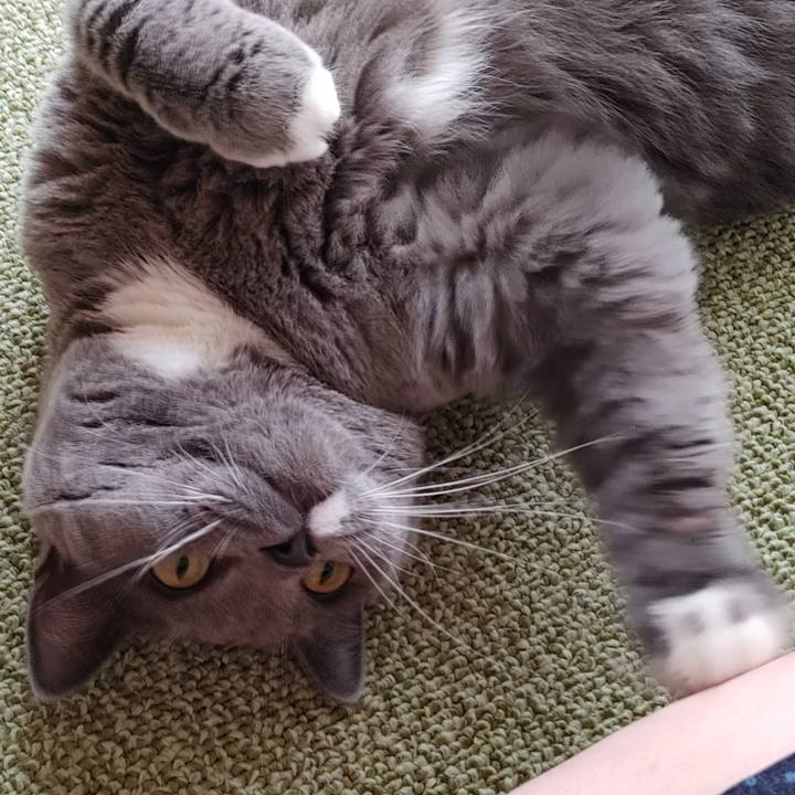 F13c98ce c2ea 4d3f bd32 682d1b71ce86 1629504661176