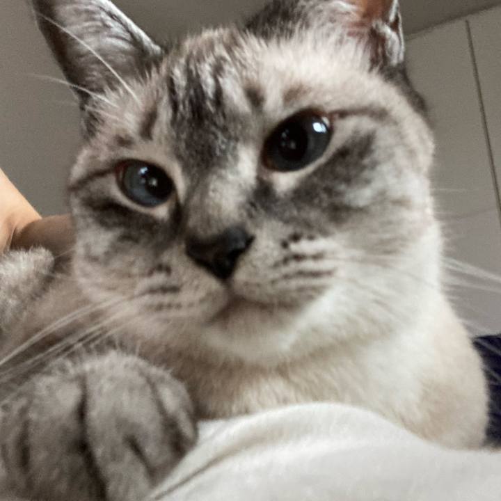 F13caf35 ad36 4c8f 817b 60b1458093e4 1657787859664