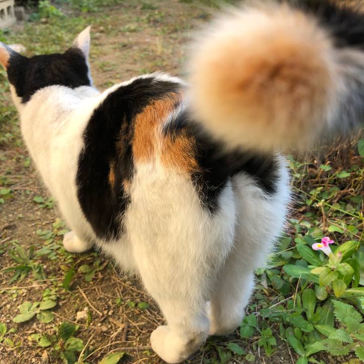 F13cba79 f191 4fbd 95ca 898b07f5e07e 1604792797663