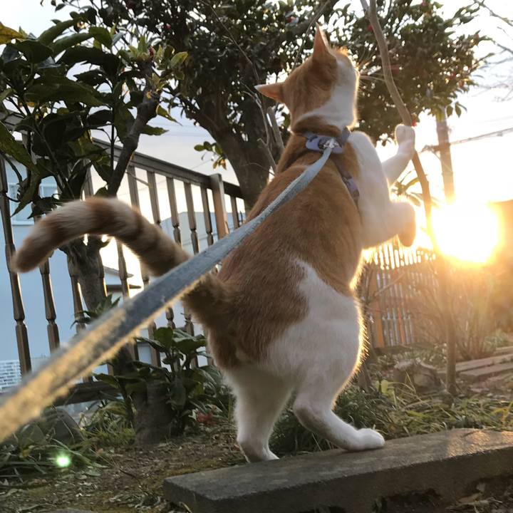 F13cbddb bf97 4b8b beab f2c99501f2fc 1512816693168