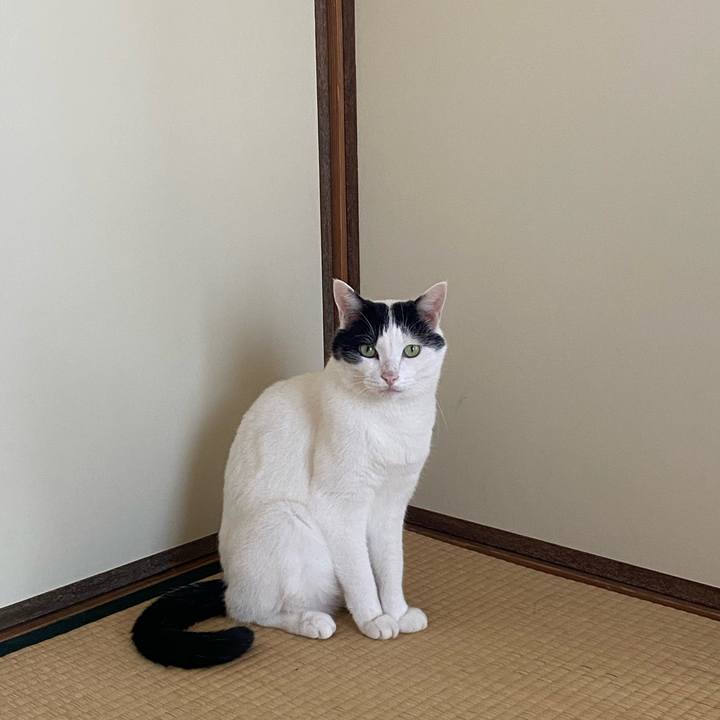 F13cf0fc f78a 4747 8ccc 966fc4251a5a 1598198147492