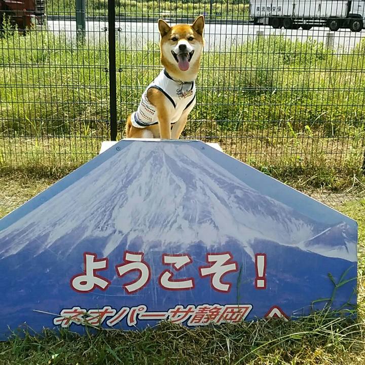 F13cf610 5518 4089 8dc5 b87e1f555e11 1564886697833