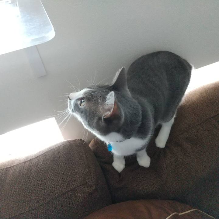 F13cfea4 1568 46e3 ab78 7999ece45d2d 1597365781043