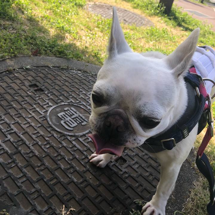 F13d043a 2d19 42a3 9ee5 acd2bae72b79 1584756243871