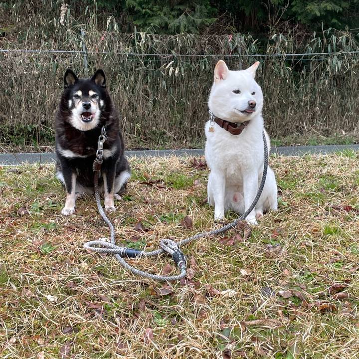 F13d19e9 0e3a 4674 87de adf795d53506 1709897396106