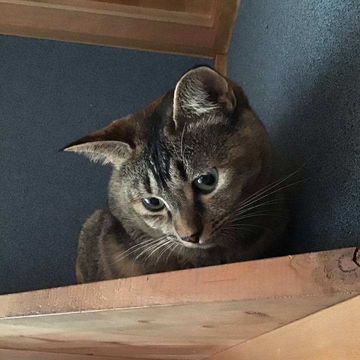 F13d1ee1 2919 4ada b56d 9e76c54dac7a 1630019394772