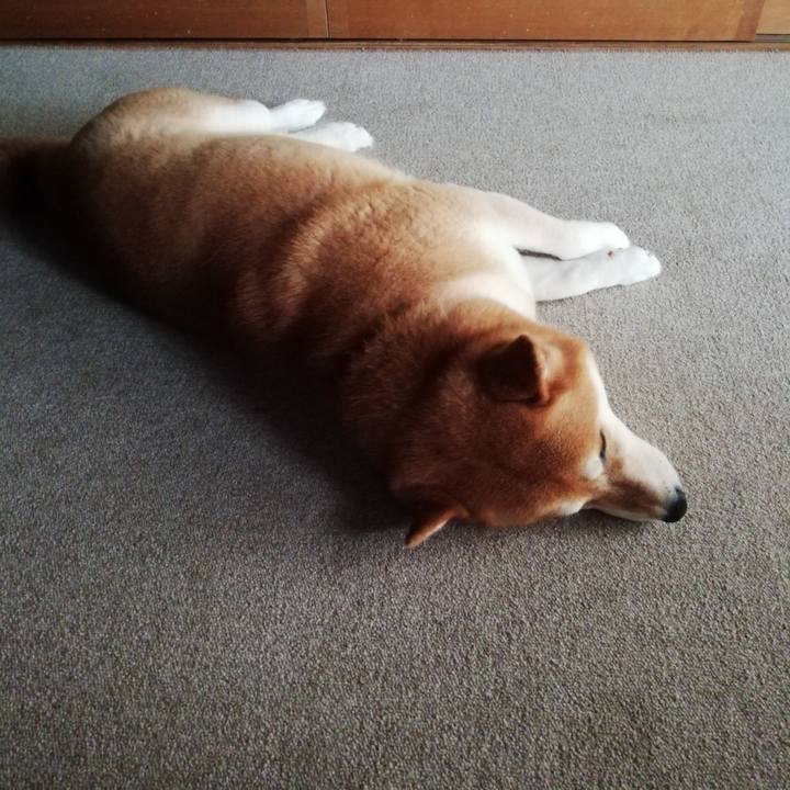 F13d319d 73c4 404c 9728 f3d9cb162e9d 1595392641967