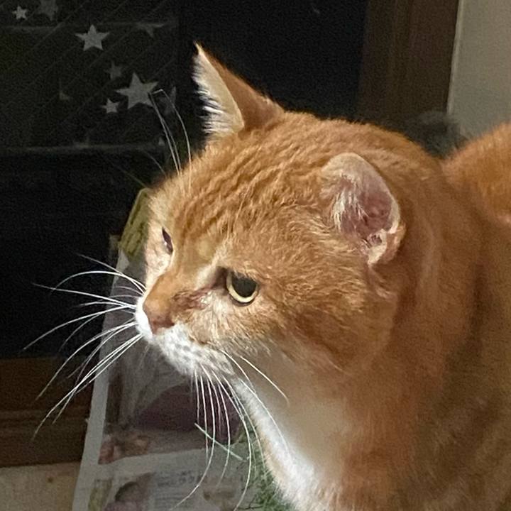 F13d6b39 d751 49c8 8a8e 326b8b04b42c 1771601149367