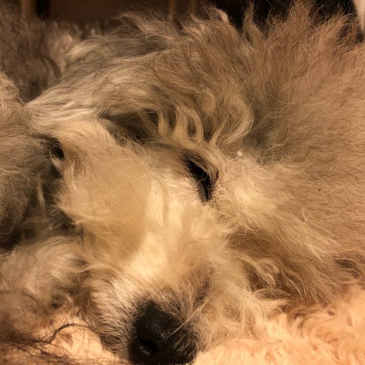 F13d82a7 0a22 450a 9035 50ca104cc7a2 1542841280975