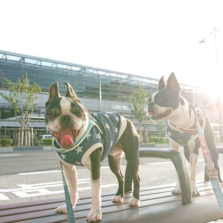 F13d853f 9d80 49bb a20a b536c80fa9be 1531263434841