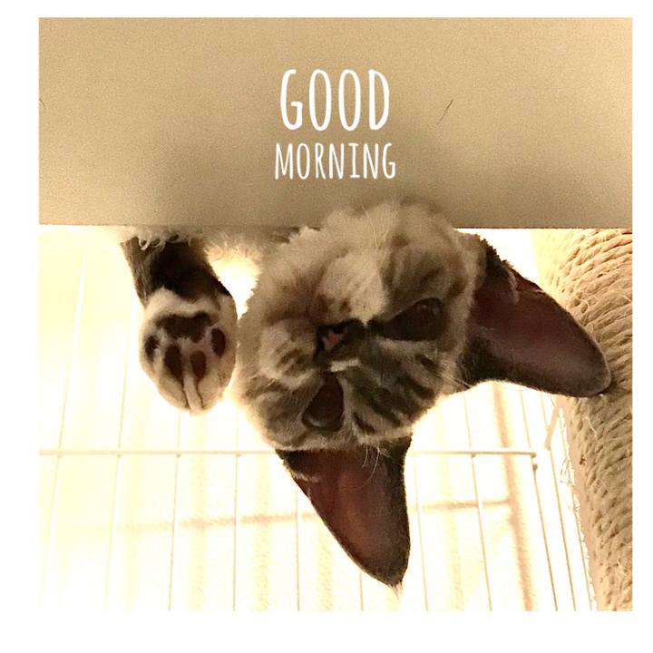 F13d8a0a 8648 43e0 a133 94717c6bc3af 1594847089896