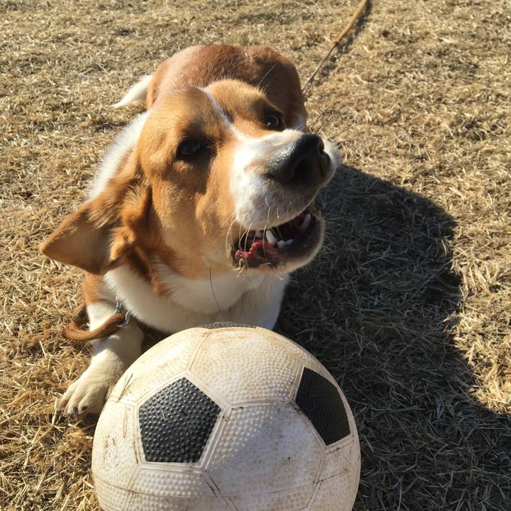 F13d931d 02d0 4649 bdd8 0dff1f9f1c4f 1612318611673