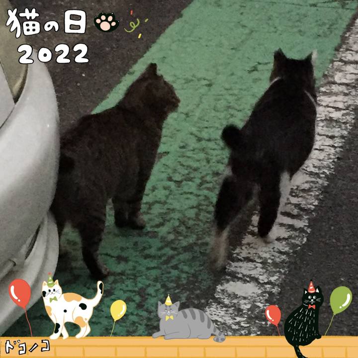 F13dc032 252e 4124 922c ad0f9d0e3bf3 1645510485531