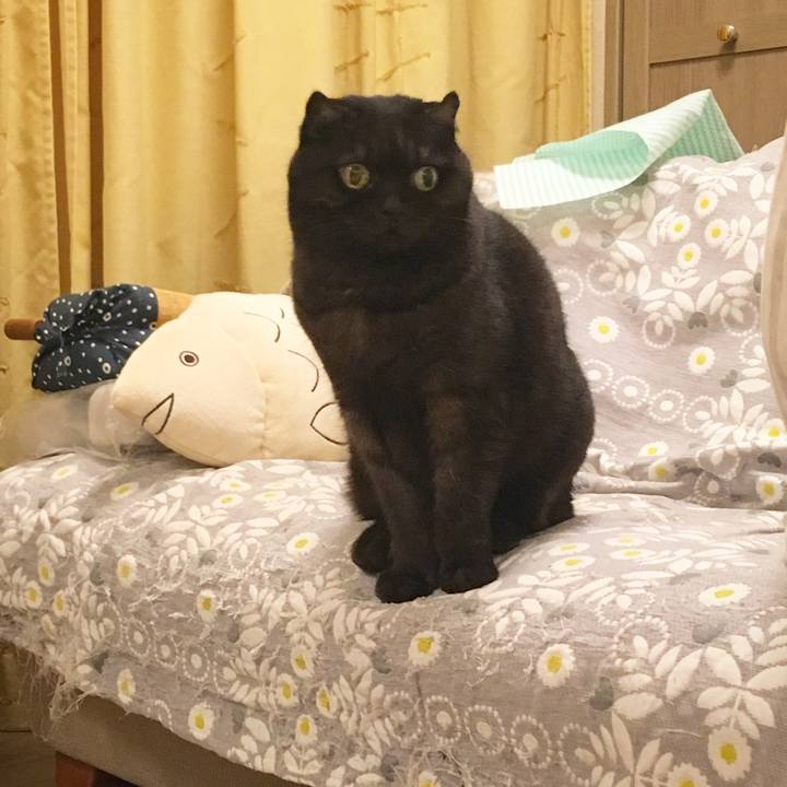 F13dd642 9e33 4f8e 8d75 8c9c982b10b8 1510191580813