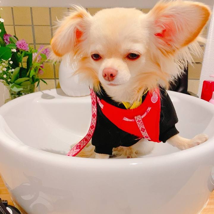 F13ddf25 6ece 47c0 baea f92fc486a998 1620304862039