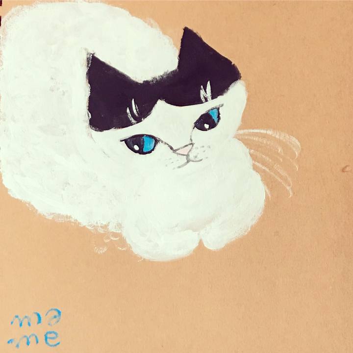 F13de4b0 4480 43ba bffd 318760e933ae 1557459413466