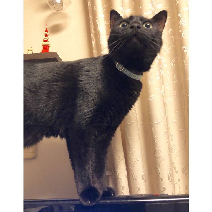 F13ded72 8919 47ca a73b 0d433547321f 1582717932548