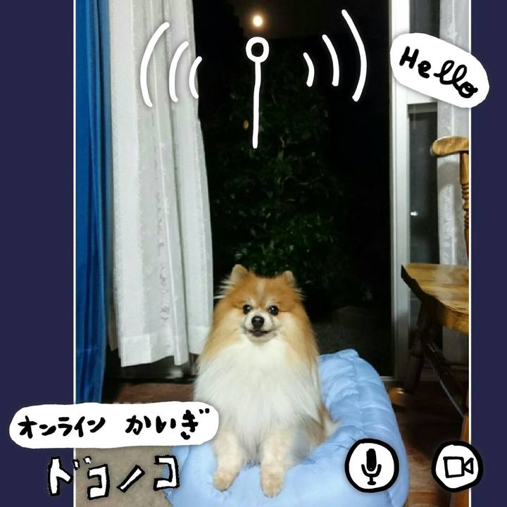 F13df45a b6f0 473d 8f5d fd1d851f0166 1591360422486