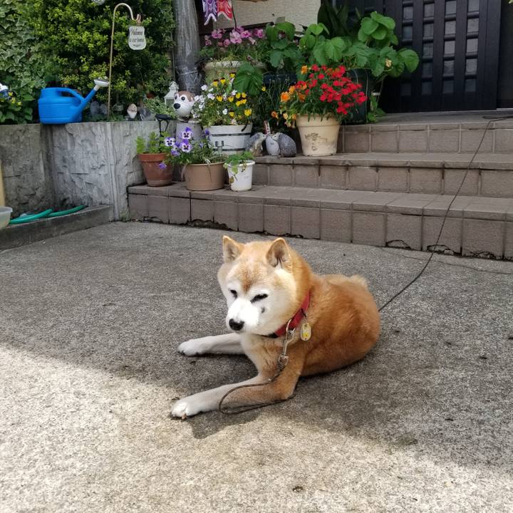 F13e3ad7 890b 4837 8baa d4a345c678cd 1748310062745