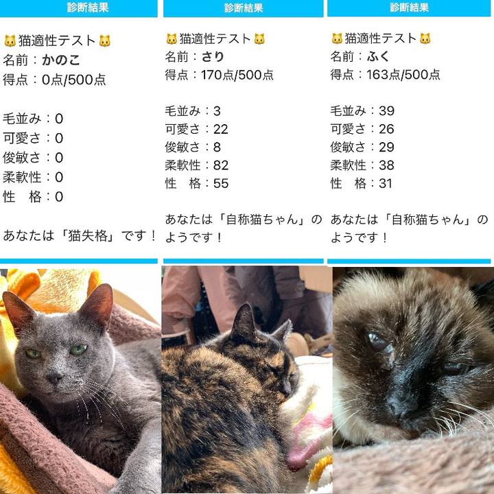 F13e4b1f 4950 47c9 8472 dd1202ef1509 1614260190098