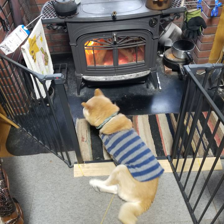 F13e5b93 4d23 43a5 8731 da6029f0b42b 1706081227718