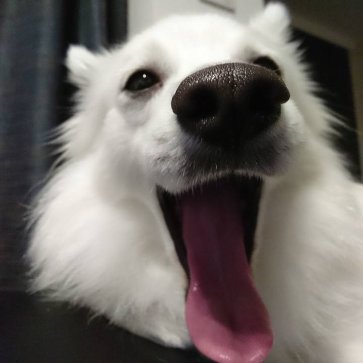 F13e606d 1a7e 4281 8ddd 91e43edd72ec 1523450974851