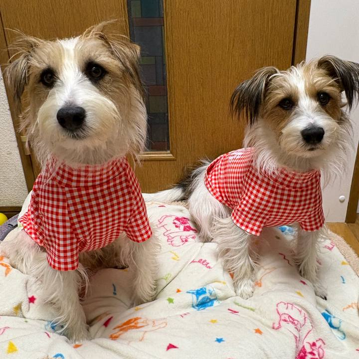 F13ebfbb 57bd 4b22 89b7 8579b52cf650 1767177277318