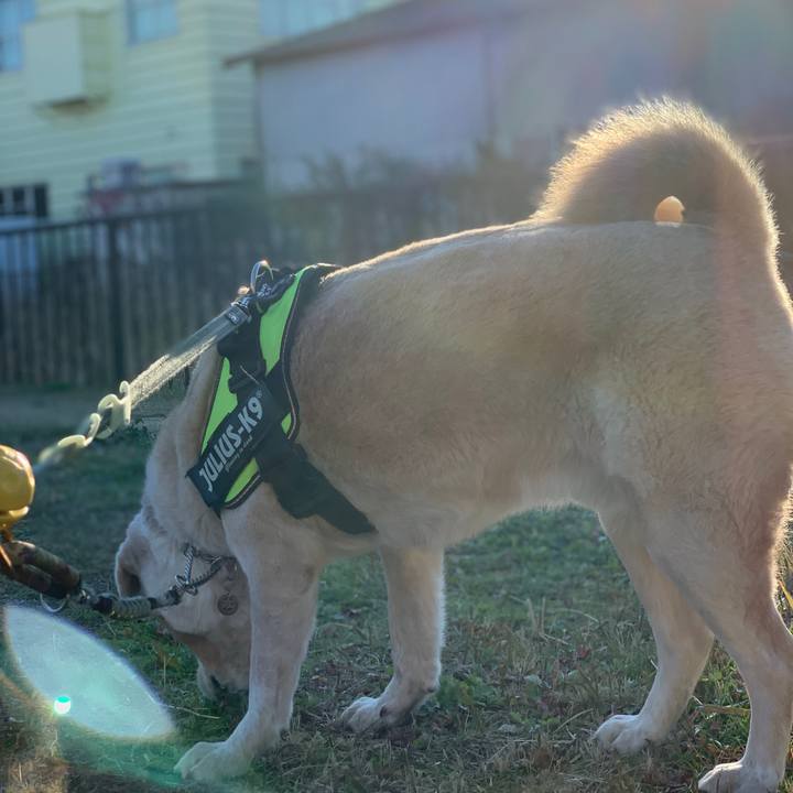 F13ecfd8 ccd8 482f 8886 50c670492691 1547168107423