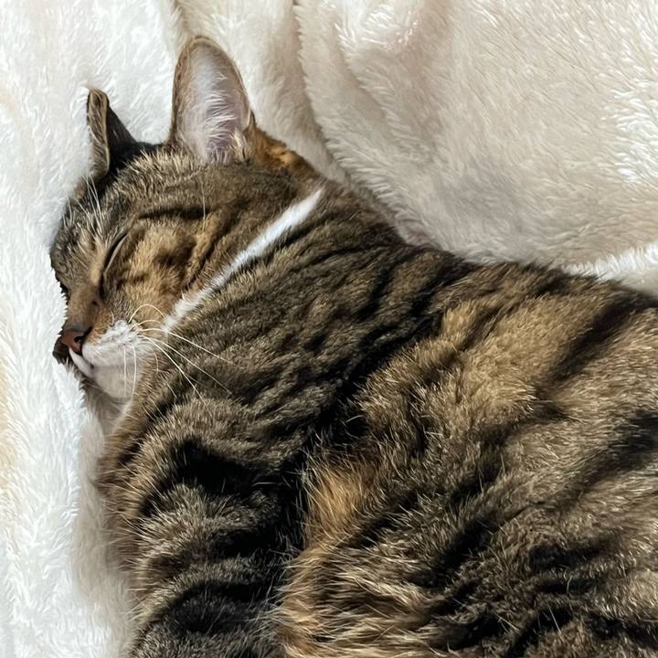 F13f1547 7a9d 45c9 b378 8dd30a4b79b2 1704033194715